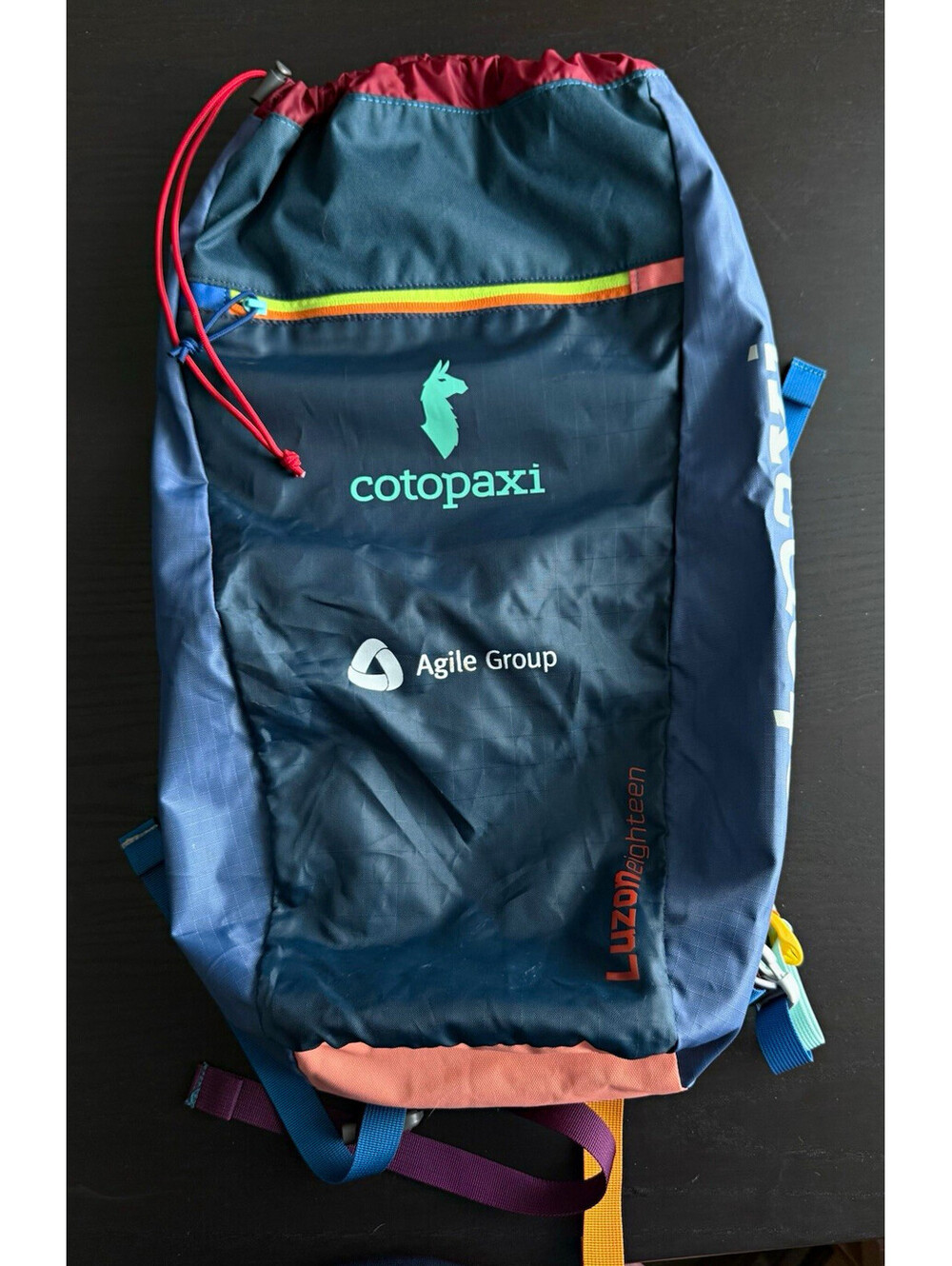 Cotopaxi Luzon 18L Daypack Del Dia Backpack Blue Teal Agile Group Corporate Swag